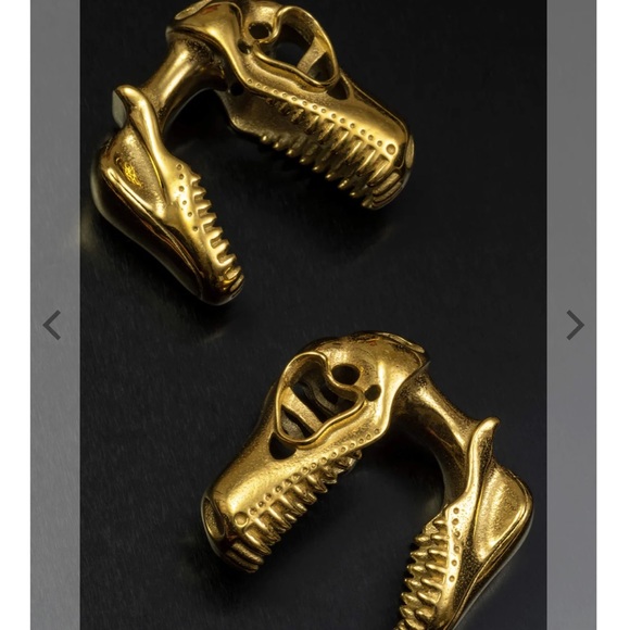 T-Rex Ear Plugs - Picture 2 of 3